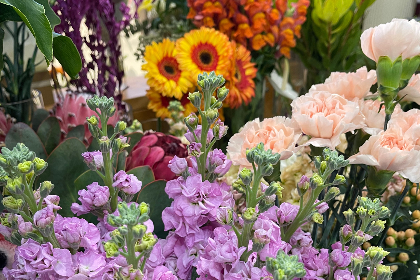 Perth Seasonal Flowers Guide: What's Blooming Now from Secret Harbour