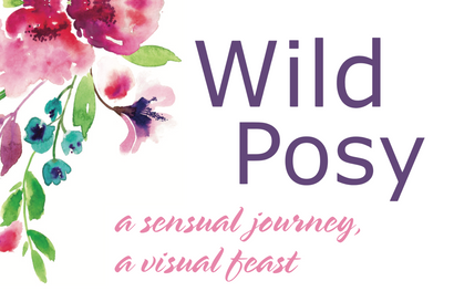 Wild Posy Flowers & Gifts