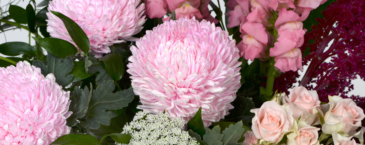 Bouquet of pink and white flowers with greenery